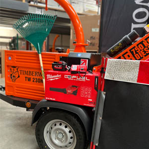 Timberwolf promo 300x300